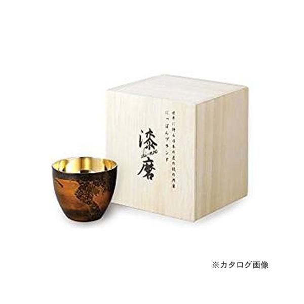 ATq HyH[ @Qd\ۂ݁ij SCW-GK501