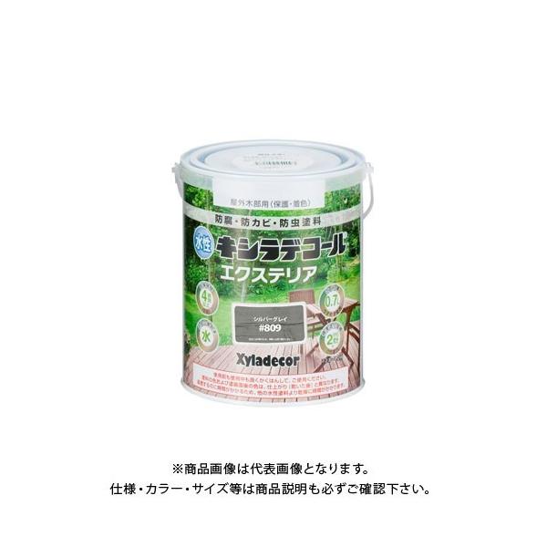 JynsI LVfR[ GNXeAS Vo[OC 0.7L 00047670260000