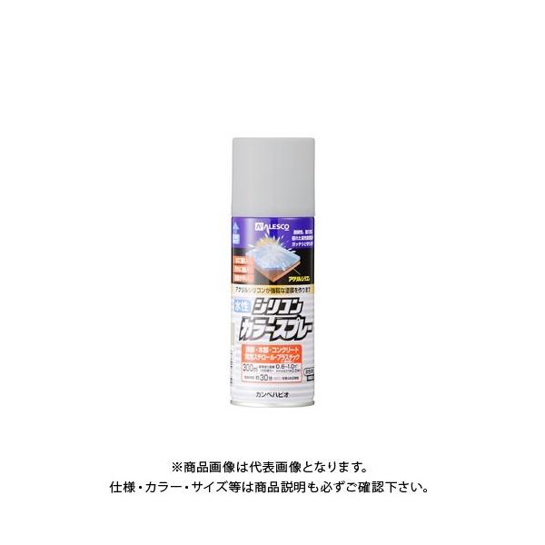 JynsI VRJ[Xv[ Vo[ 300ML 00507655252300