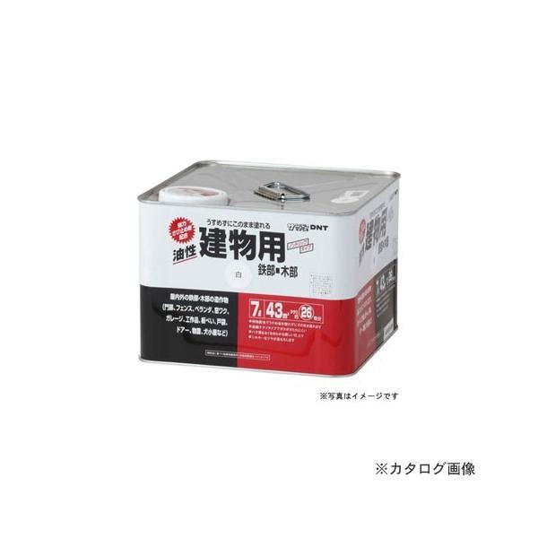 �T���f�[�y�C���g #20EF5 SP���� �u���E�� 7L