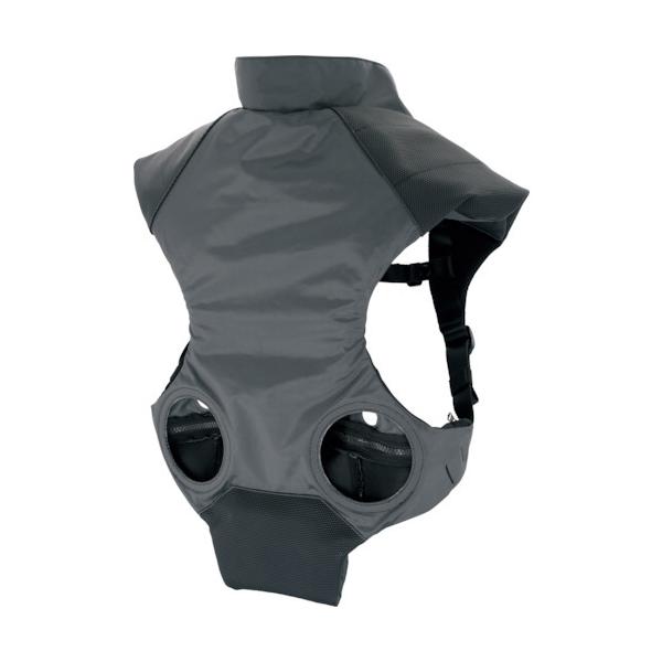 ^W}c[ Tajima t@pbh pbh t[TCY FPP-AAPGYF