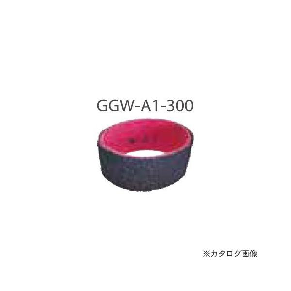 gL xgx60P 5 GGW-A1-300