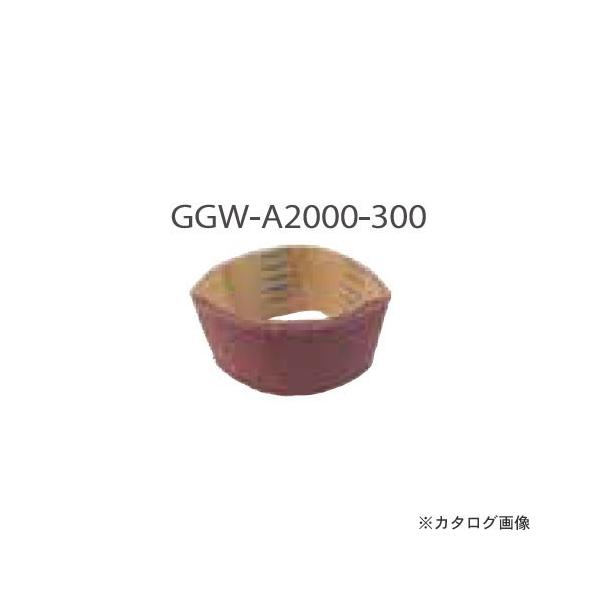 gL xgx2000P 5 GGW-A2000-300