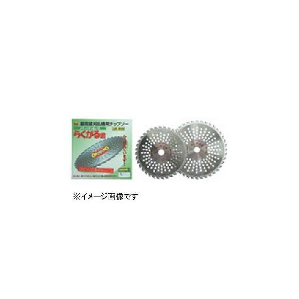 nEXr[G nEXB.M @p`bv\[ 炭N dl LK-255B