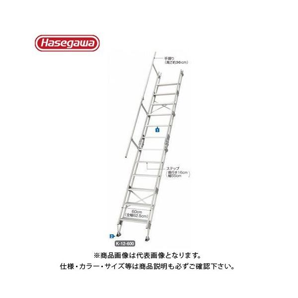 (^ς)(i) nZK JH A~݊Ki͂ K-13-600 15843