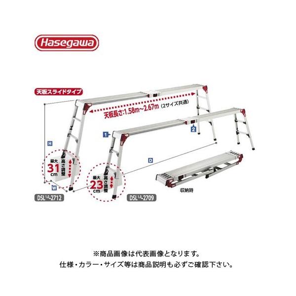(Hs2025)(ʓr)(i)nZK JH VErLk XmR DSL1.0-2709 16931