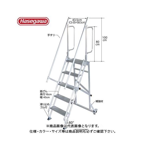 (�^�����ς�)(�����i)�n�Z�K�� ���J��H�� ���ړI��Ƒ�L�����X�^�[ CS-55-5-135 35337