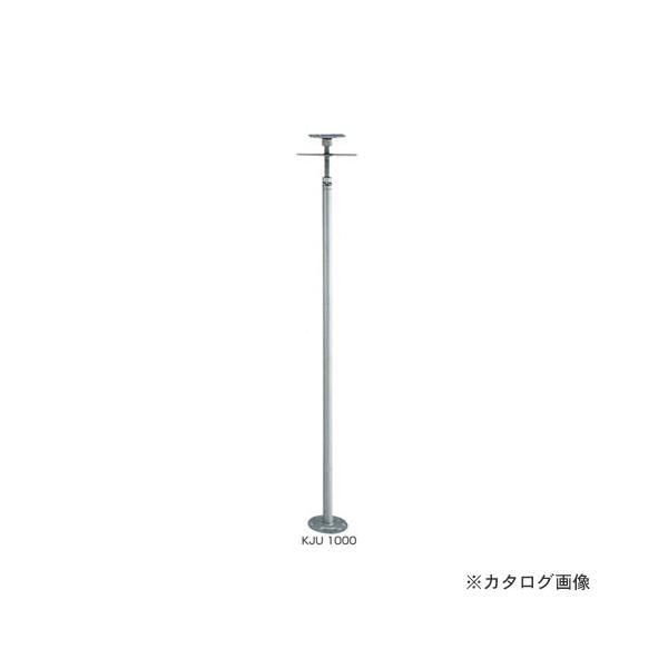 IRS NWbL(prXt) 10  (940`1060) KJU1000