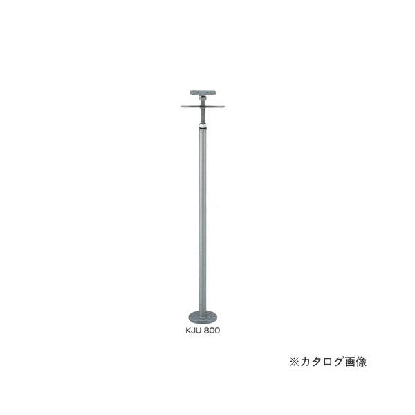 IRS NWbL(prXt) 10  (740`860) KJU800