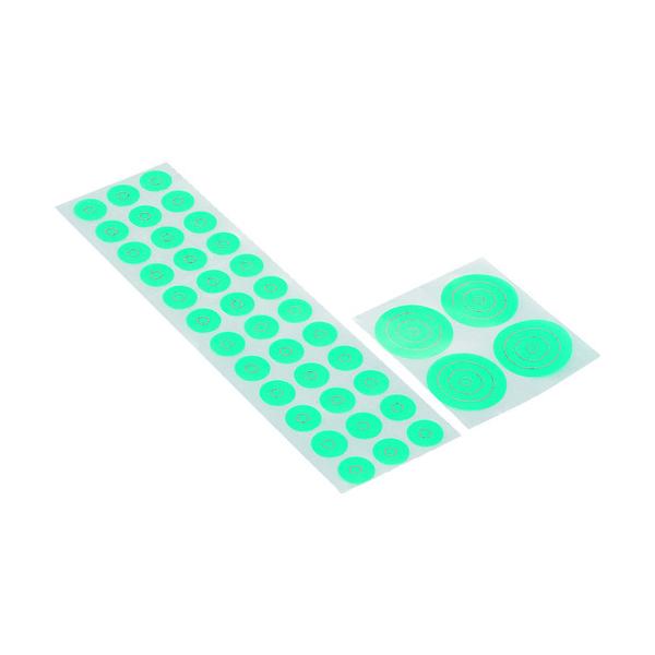 IWATA }XLOV[A (2000) ERX010