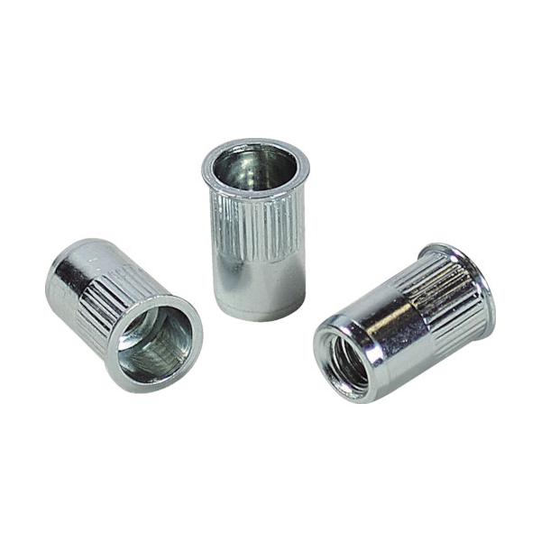 �G�r ���[���b�g�i�b�g(�����E�X�e�B�[����) ��2.5 M5×0.8(1000��) NSK5MR