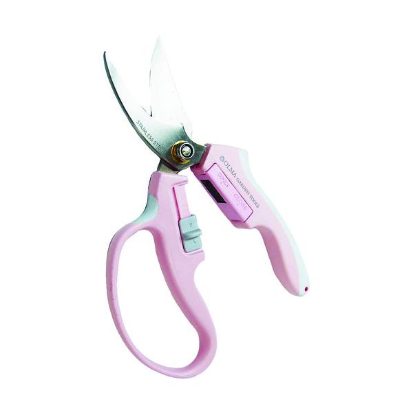 TV I} }Olbg ^(sN) MG-1P