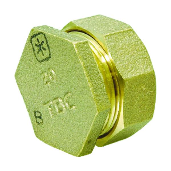 TBC PEppCvGh113mm 13P PE-1-L