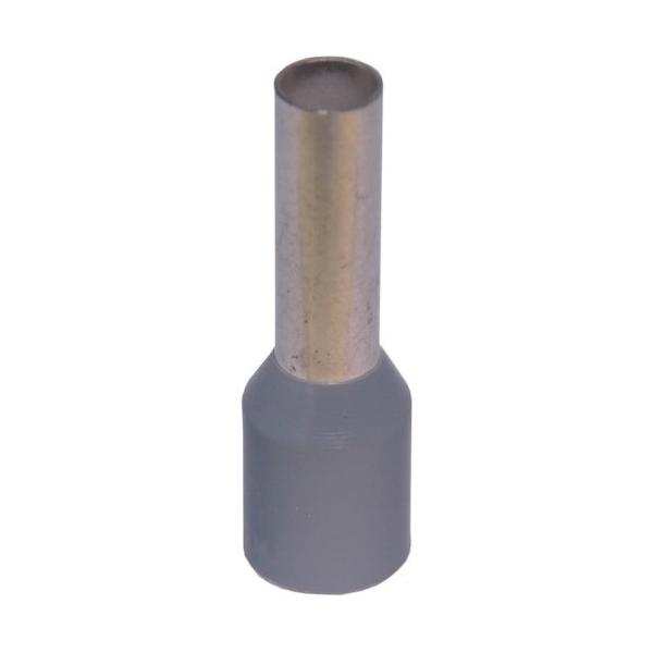 WAGO tF[ [q FE-4.0-10N-GY 100 216-207-PK