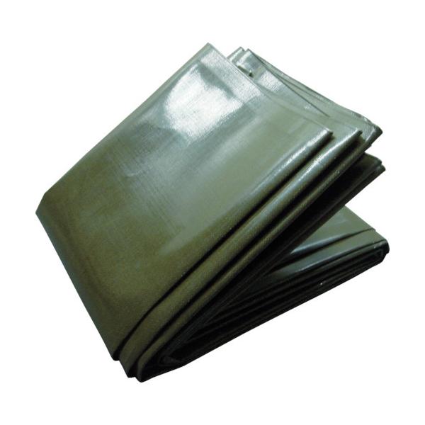 (ʓr)(i)TRUSCO 10NV[g 3.6mX5.4m TUV13000-3654