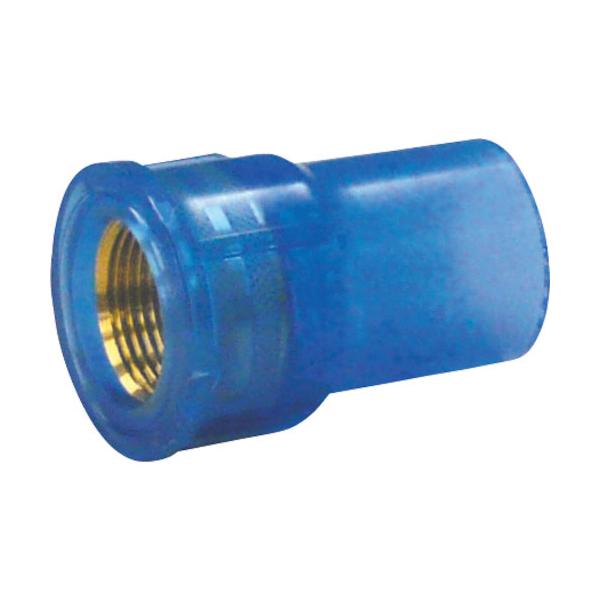 �N�{�^�P�~�b�N�X ����TS ���^���������\�P�b�g TS-MWS20 C-TSMWS20