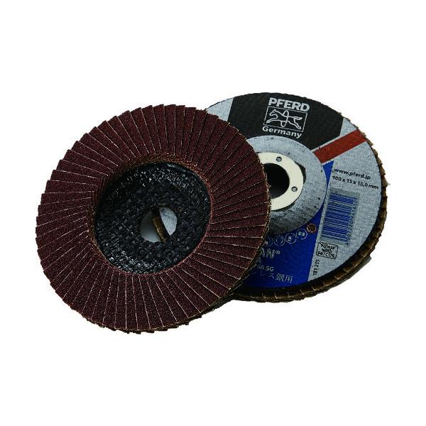 PFERD |t@tbvfBXNSGA 100 #60 10 PFF100SGA941652