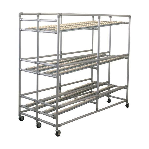 (ʑ3000~)(i)SUS V[^[i^Cv(23i) GFTR2880064