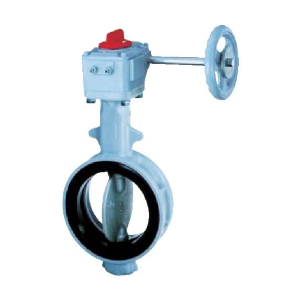 (ʑ2000~)(i)b 700G-2U JIS10K FCD450/SCS14/NBR 200A 700G-2U-200-S-N