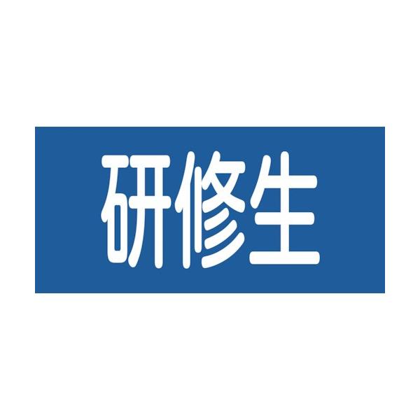 Ώ\ sXSr C GW-13S 95mm×r܂300mm STCY 139813