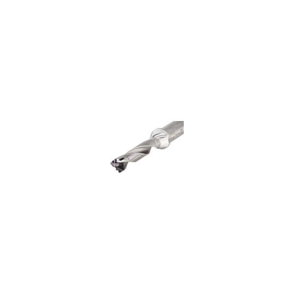�C�X�J�� �X���E�J�� �w�b�h�������h�����{�f�B(�~���V�����N)3D DCN 105-032-16R-3D