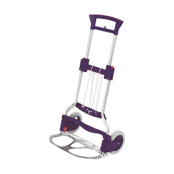 (^ς)(i)SECO ܏J[g uRUXXACvrWlX 125kg 2234-51V3