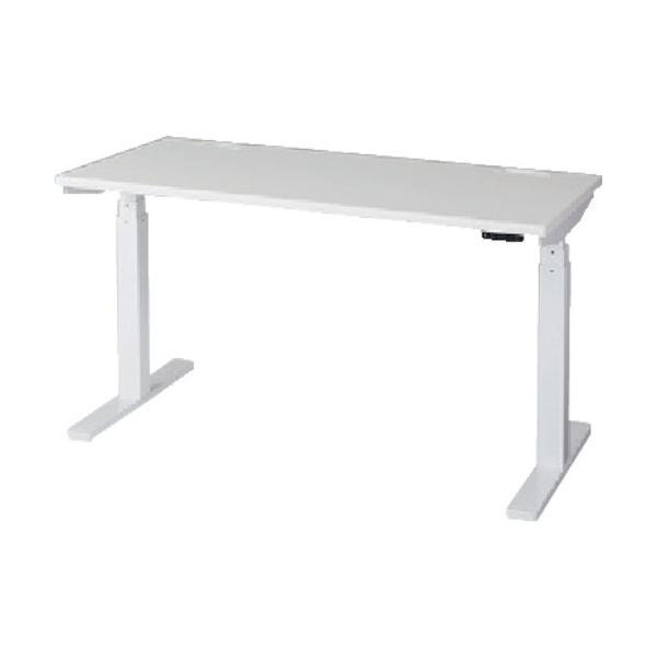 (�����ʓr)(�����i)�i�C�L ���~�f�X�N ���t�e�B�[�i LTD167F-WS