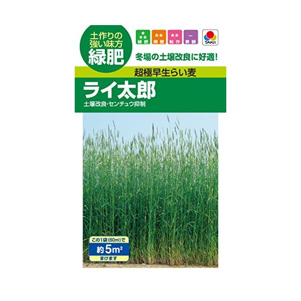 タキイ種苗 超極早生らい麦 ライ太郎