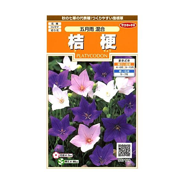 サカタのタネ 実咲花7120 桔梗 五月雨混合 00907120