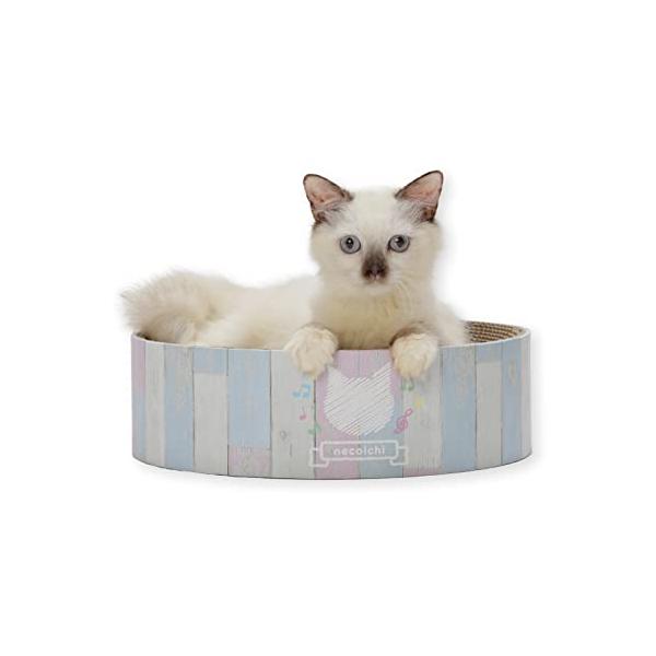猫壱 バリバリボウル (子猫用 キトン)