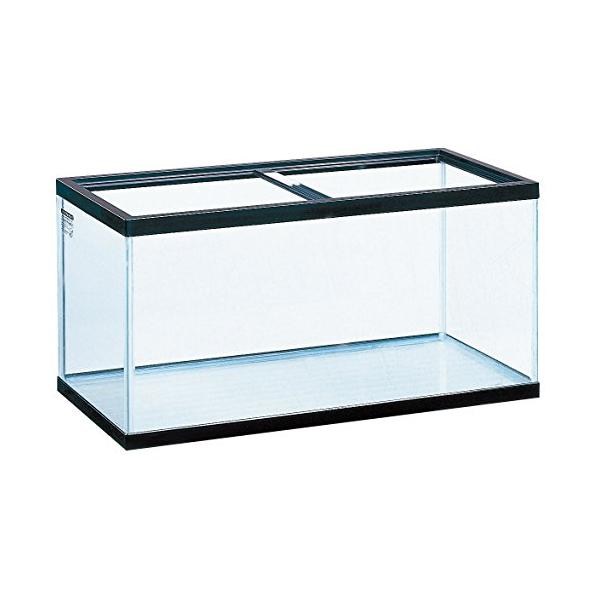 plusa-main_plusa504eeceee9