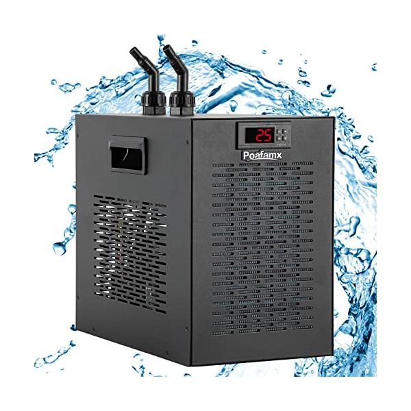 plusa-main_plusa600da21595