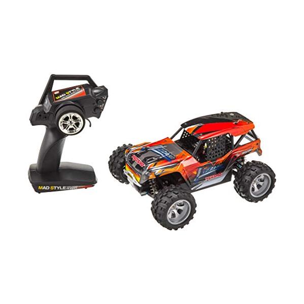 RC1/16スケール マッドスタイルシリーズ リザード : plusa - 通販