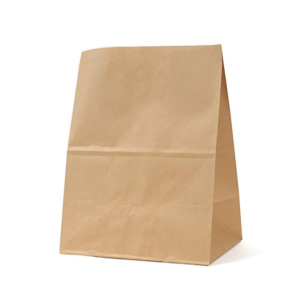 他サイト： パックタケヤマ 紙袋 マチあり 角底袋 H500 未晒 100枚 XZTT0396の商品画像