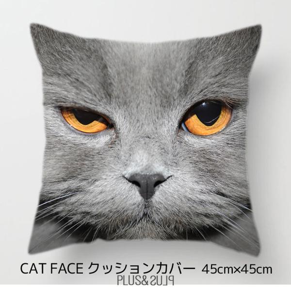 plusandplus_41-100127