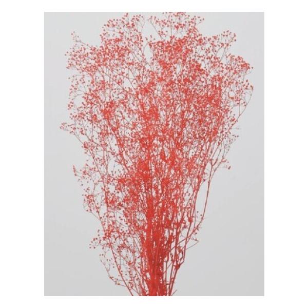 ミニカスミ草 レッド 00010-301【プリザーブドフラワー・プリザーブド　花材】１束約23g約55cm＊自然の生花や植物を原料としています。サイズ、色、形などは同一ではありません。＊表示について《検索ワード》プリザーブドフラワー　ドライ...