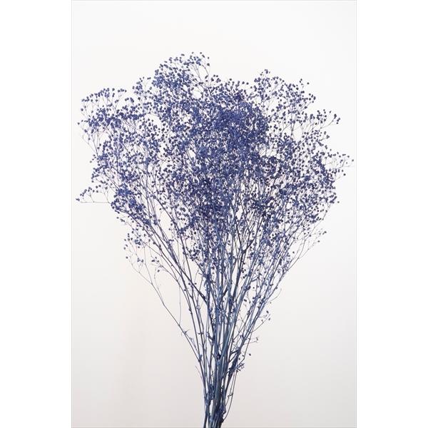 ミニカスミ草 コバルトブルー 00010-681【プリザーブドフラワー・プリザーブド　花材】１束約23ｇ　約50cm＊自然の生花や植物を原料としています。サイズ、色、形などは同一ではありません。＊表示について《検索ワード》プリザーブドフラワ...