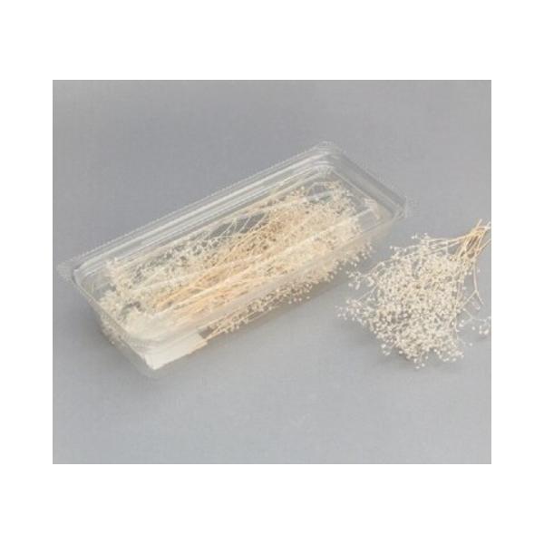 ミニカスミ草・ヘッド 白 00013-010【プリザーブドフラワー・プリザーブド　花材】１箱約7g約5-15cm＊自然の生花や植物を原料としています。サイズ、色、形などは同一ではありません。＊表示について《検索ワード》プリザーブドフラワー　...