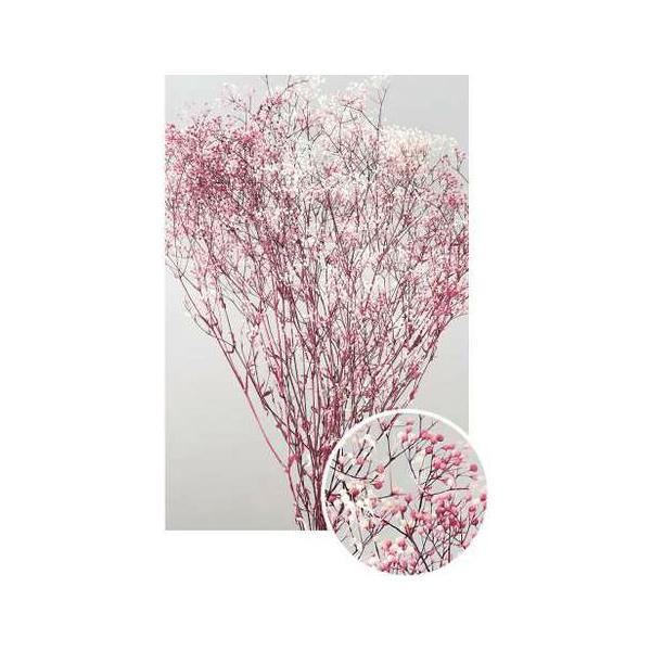 ミニカスミ草・フラワーベール 白／ローズ 00015-012【プリザーブドフラワー・プリザーブド　花材】１束約22g約40cm＊自然の生花や植物を原料としています。サイズ、色、形などは同一ではありません。＊表示について《検索ワード》プリザー...