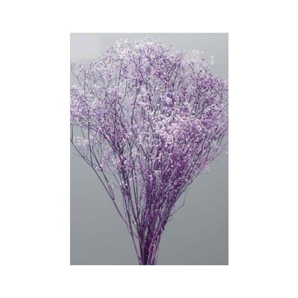 ミニカスミ草・フラワーベール 白／パープル 00015-014【プリザーブドフラワー・プリザーブド　花材】１束約22g約40cm＊自然の生花や植物を原料としています。サイズ、色、形などは同一ではありません。＊表示について《検索ワード》プリザ...
