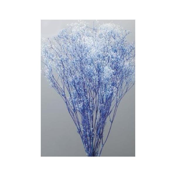 ミニカスミ草・フラワーベール 白／ブルー 00015-016【プリザーブドフラワー・プリザーブド　花材】１束約22g約40cm＊自然の生花や植物を原料としています。サイズ、色、形などは同一ではありません。＊表示について《検索ワード》プリザー...