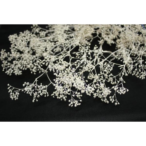 スーパーソフトミニカスミ草 マットホワイト 00020-012【プリザーブドフラワー・プリザーブド　花材】１束（約21ｇ）約40-50cmL＊部分的に白い花が混ざる場合があります。＊自然の生花や植物を原料としています。サイズ、色、形などは同...