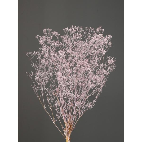 スーパーソフトミニカスミ草 マットピンク 00020-102【プリザーブドフラワー・プリザーブド　花材】１束（約20ｇ）約40-50cmL＊部分的に白い花が混ざる場合があります。＊自然の生花や植物を原料としています。サイズ、色、形などは同一...