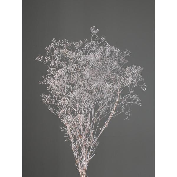 スーパーソフトミニカスミ草 マットグレー 00020-862【プリザーブドフラワー・プリザーブド　花材】１束（約20ｇ）約40-50cmL＊部分的に白い花が混ざる場合があります。＊自然の生花や植物を原料としています。サイズ、色、形などは同一...