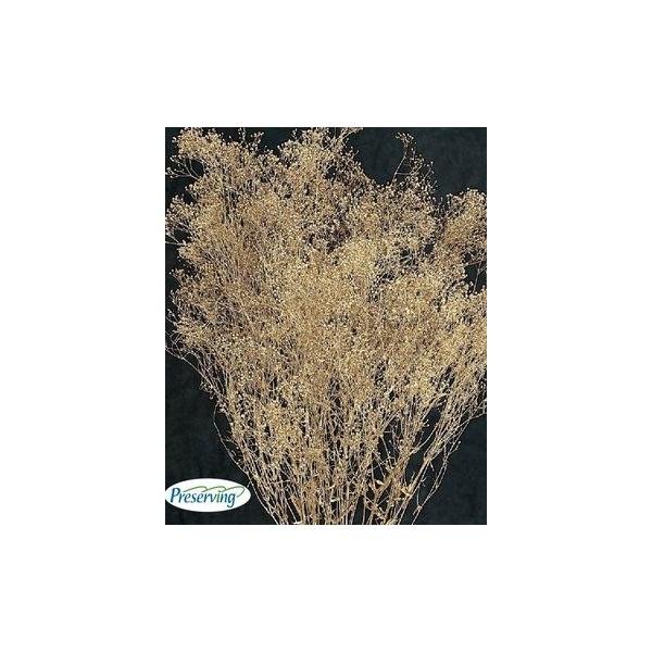 スーパーソフトミニカスミ草 ゴールド 00020-902【プリザーブドフラワー・プリザーブド　花材】１束（約20ｇ）約40-50cmL＊部分的に白い花が混ざる場合があります。＊自然の生花や植物を原料としています。サイズ、色、形などは同一では...