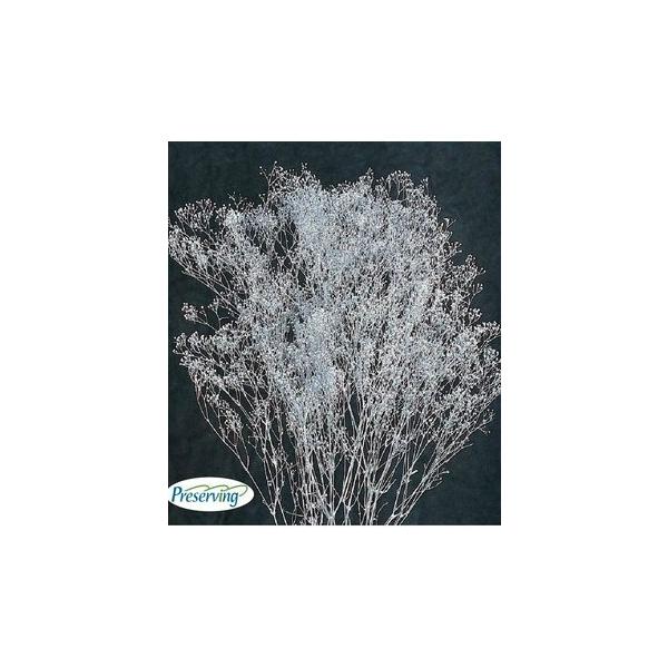 スーパーソフトミニカスミ草 シルバー 00020-912【プリザーブドフラワー・プリザーブド　花材】１束（約20ｇ）約40-50cmL＊部分的に白い花が混ざる場合があります。＊自然の生花や植物を原料としています。サイズ、色、形などは同一では...