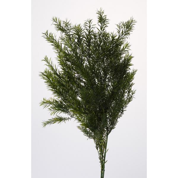 ティーツリー メラレウカ グリーン Buyee Buyee Japanese Proxy Service Buy From Japan Bot Online