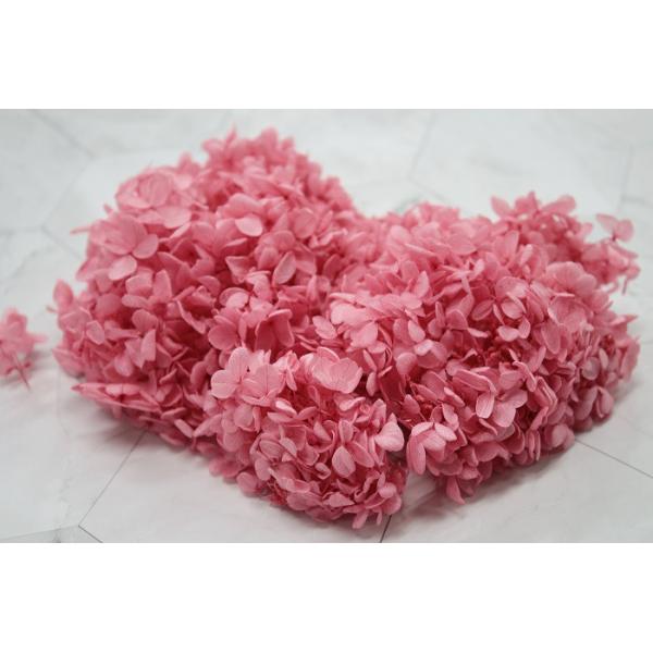 ピラミッドアジサイ・ヘッド ストロベリー 01510-221【プリザーブドフラワー・プリザーブド　花材】1箱（約2輪分）＊自然の生花や植物を原料としています。サイズ、色、形などは同一ではありません＊表示について■葉が縮れている物、葉が丸まっ...