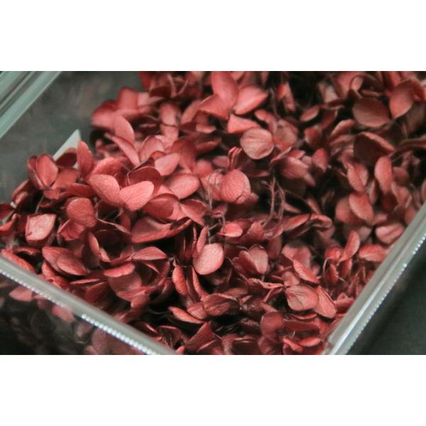 ピラミッドアジサイ・ヘッド ワインレッド 01510-340【プリザーブドフラワー・プリザーブド　花材】1箱（約2輪分）＊自然の生花や植物を原料としています。サイズ、色、形などは同一ではありません＊表示について■葉が縮れている物、葉が丸まっ...