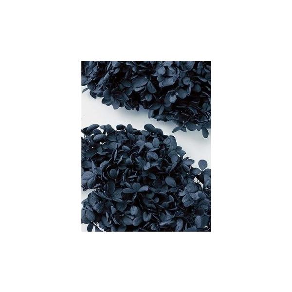 ピラミッドアジサイ・ヘッド 黒 01510-890【プリザーブドフラワー・プリザーブド　花材】1箱（約2輪分）＊自然の生花や植物を原料としています。サイズ、色、形などは同一ではありません＊表示について■葉が縮れている物、葉が丸まっている物、...